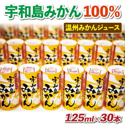 宇和島みかん 温州みかんジュース 125ml 30本入 愛工房 H020-034002