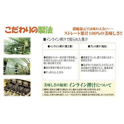 宇和島みかん 温州みかんジュース 125ml 30本入 愛工房 H020-034002