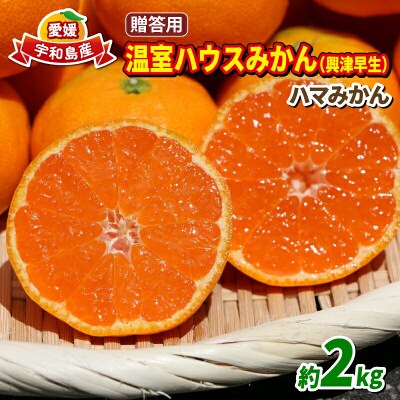 温室みかん 興津 早生 贈答用 2kg ハマみかん 早生温州 ハウス栽培 B024-075008