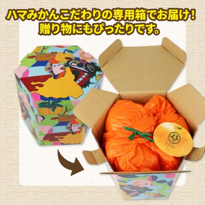 温室みかん 興津 早生 贈答用 2kg ハマみかん 早生温州 ハウス栽培 B024-075008