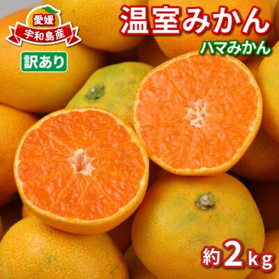 訳ありみかん 温室みかん 2kg みかん ハマみかん 果物 フルーツ 柑橘 B010-075012