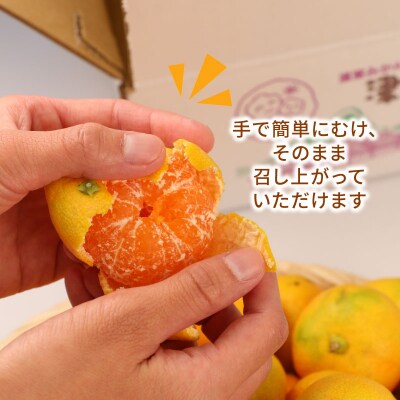 訳ありみかん 温室みかん 2kg みかん ハマみかん 果物 フルーツ 柑橘 B010-075012