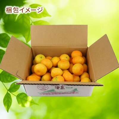 訳ありみかん 温室みかん 2kg みかん ハマみかん 果物 フルーツ 柑橘 B010-075012