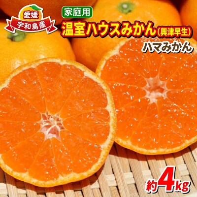 ハウスみかん 温室みかん 4kg 家庭用 ハマみかん 早生温州 B025-075007