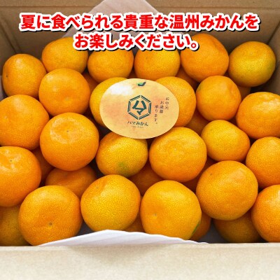 ハウスみかん 温室みかん 4kg 家庭用 ハマみかん 早生温州 B025-075007