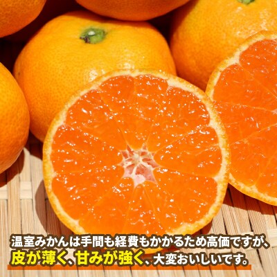 ハウスみかん 温室みかん 4kg 家庭用 ハマみかん 早生温州 B025-075007