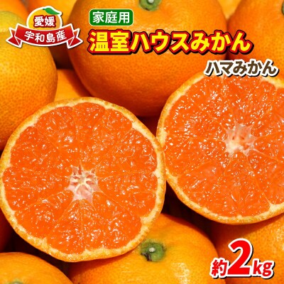 ハウスみかん 2kg 家庭用 ハマみかん 温州みかん 温室蜜柑 ハウス栽培 B015-075004