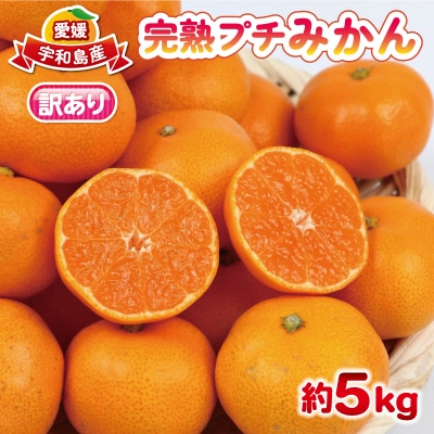 先行予約 訳あり 完熟プチみかん(早生みかん)約5kg 杉本屋 B010-143003