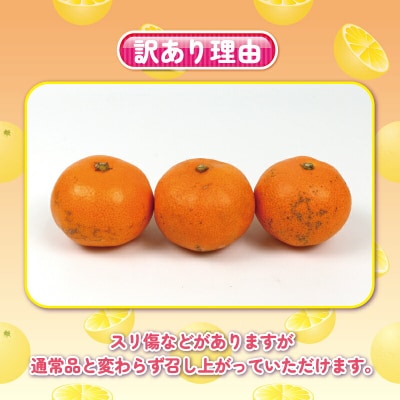 先行予約 訳あり 完熟プチみかん(早生みかん)約5kg 杉本屋 B010-143003