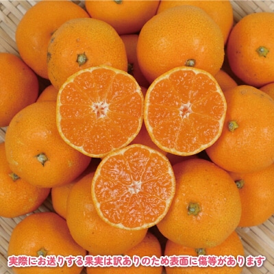 先行予約 訳あり 完熟プチみかん(早生みかん)約5kg 杉本屋 B010-143003