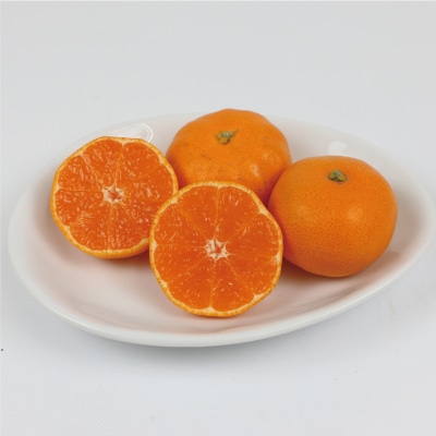 先行予約 訳あり 完熟プチみかん(早生みかん)約5kg 杉本屋 B010-143003