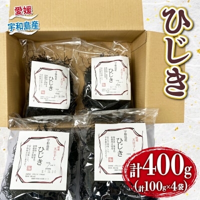 ひじき400g 愛媛県漁業協同組合宇和島支所 D012-027005