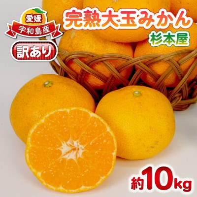 先行予約 訳あり 完熟 大玉みかん 10kg 杉本屋 先行販売 B010-143017