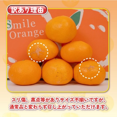 先行予約 訳あり 完熟 大玉みかん 10kg 杉本屋 先行販売 B010-143017