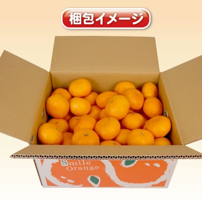 先行予約 訳あり 完熟 大玉みかん 10kg 杉本屋 先行販売 B010-143017