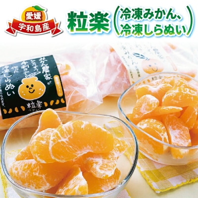 冷凍 みかん 2袋 冷凍 しらぬい 1袋 各500g  南四国ファーム 粒楽 J012-035009