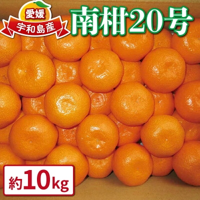 愛媛みかん 南柑20号 10kg ワールドファーマーズ 美味しい 先行予約 B015-024002