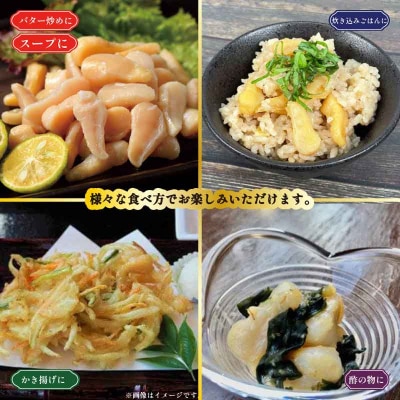宇和海産アコヤ貝の貝柱 400g こもねっと D015-008001