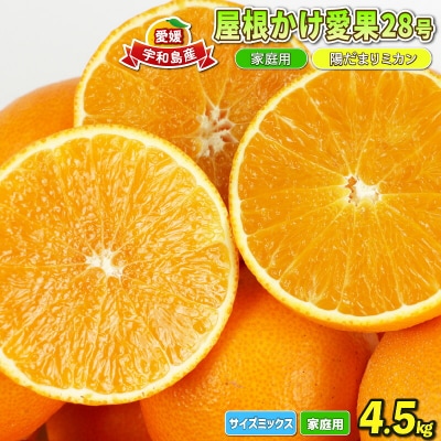先行予約 愛果28号 4.5kg 家庭用 陽だまりミカン B018-050004