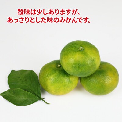 先行予約 極早生みかん 家庭用 10kg ワールドファーマーズ