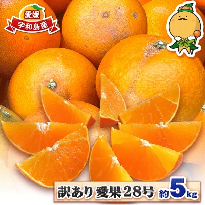 訳あり 愛果28号 ( 紅まどんな と同品種) 5kg 中井屋 先行予約 B015-173001