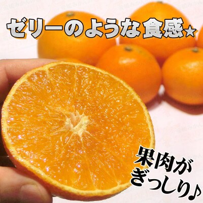 訳あり 愛果28号 ( 紅まどんな と同品種) 5kg 中井屋 先行予約 B015-173001
