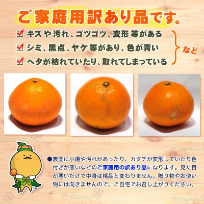 訳あり 愛果28号 ( 紅まどんな と同品種) 5kg 中井屋 先行予約 B015-173001