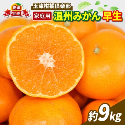 早生温州 9kg 家庭用 愛媛みかん 玉津柑橘倶楽部 B010-072001