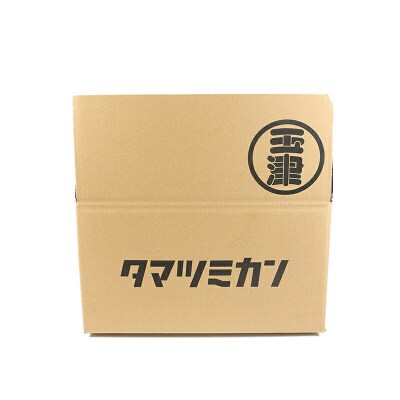 早生温州 9kg 家庭用 愛媛みかん 玉津柑橘倶楽部 B010-072001