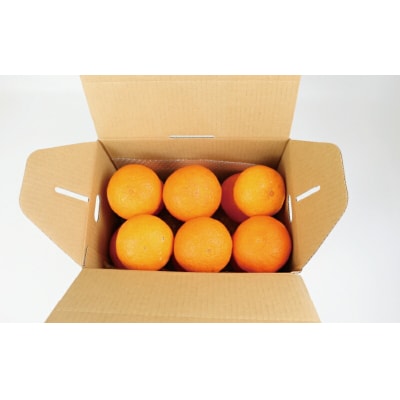 家庭用 愛果28号 ( 紅まどんな と同品種 ) 2.5kg つばさ農園 B010-048010