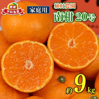 先行予約 温州みかん 南柑20号 9kg 家庭用 植村農園 B010-153004