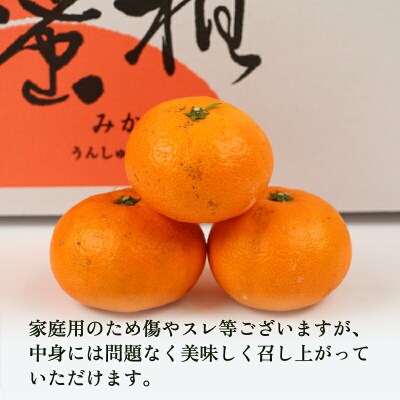 先行予約 温州みかん 南柑20号 9kg 家庭用 植村農園 B010-153004