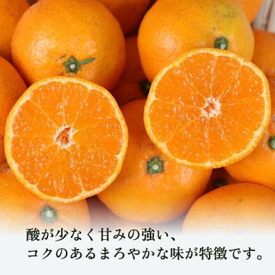 先行予約 温州みかん 南柑20号 9kg 家庭用 植村農園 B010-153004