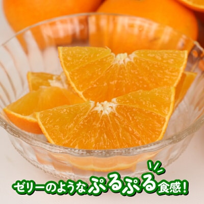 訳あり 愛果28号 ( 紅まどんな と同品種) 3kg ハマみかん B010-075009