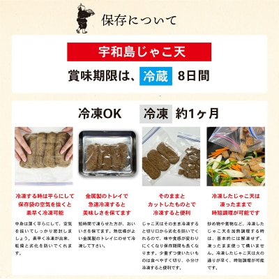 宇和島じゃこ天 15枚 安岡蒲鉾 C014-020004