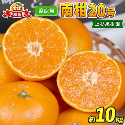 先行予約 南柑20号 10kg 家庭用 上杉果樹園 B012-056002