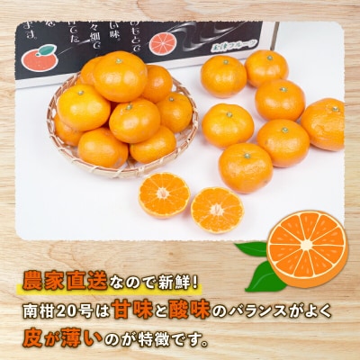 先行予約 南柑20号 10kg 家庭用 上杉果樹園 B012-056002
