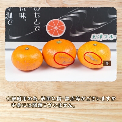 先行予約 南柑20号 10kg 家庭用 上杉果樹園 B012-056002