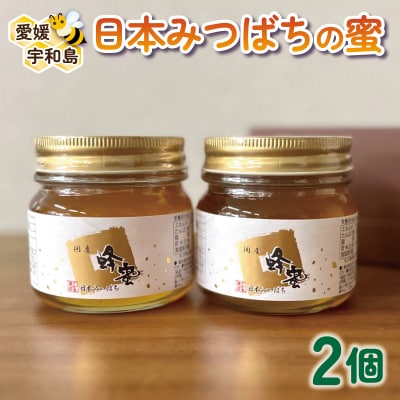 日本みつばちの蜜 250g×2本セット 宇和島農産 F020-132002