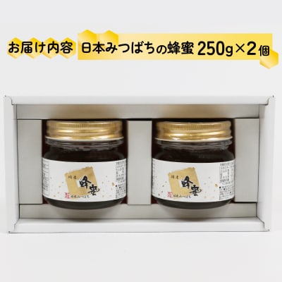 日本みつばちの蜜 250g×2本セット 宇和島農産 F020-132002