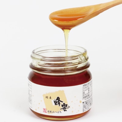日本みつばちの蜜 250g×2本セット 宇和島農産 F020-132002