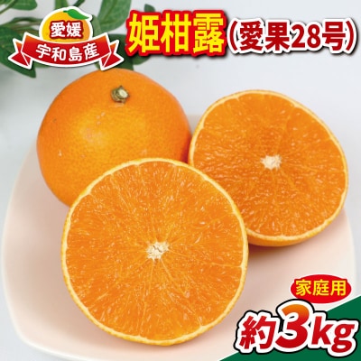 姫柑露 愛果28号 3kg 南四国ファーム B013-035011