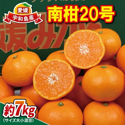 南柑20号 7kg 南四国ファーム B012-035010