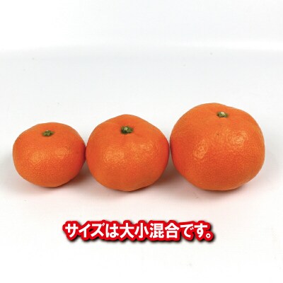 南柑20号 7kg 南四国ファーム B012-035010