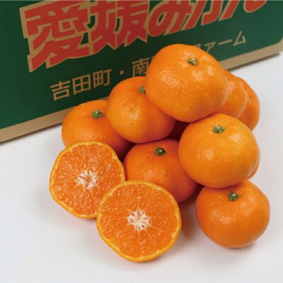 南柑20号 7kg 南四国ファーム B012-035010