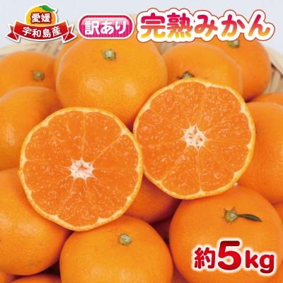 訳あり 完熟みかん 早生 5kg 杉本屋 B010-143004