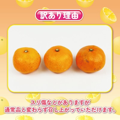 訳あり 完熟みかん 早生 5kg 杉本屋 B010-143004