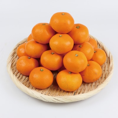 訳あり 完熟みかん 早生 5kg 杉本屋 B010-143004