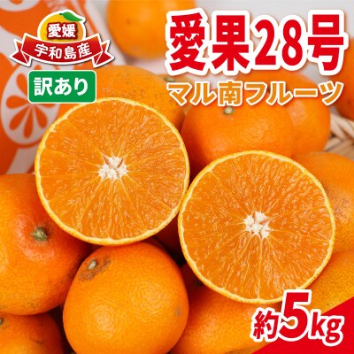 訳あり 愛果28号 5kg マル南フルーツ B015-106027