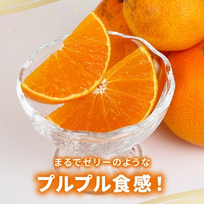 訳あり 愛果28号 5kg マル南フルーツ B015-106027